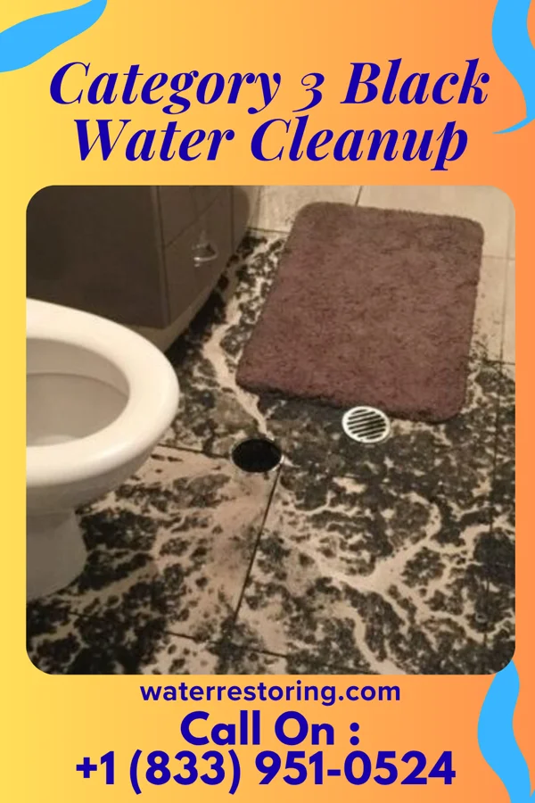 Category 3 Black Water Cleanup in Village Green, NY