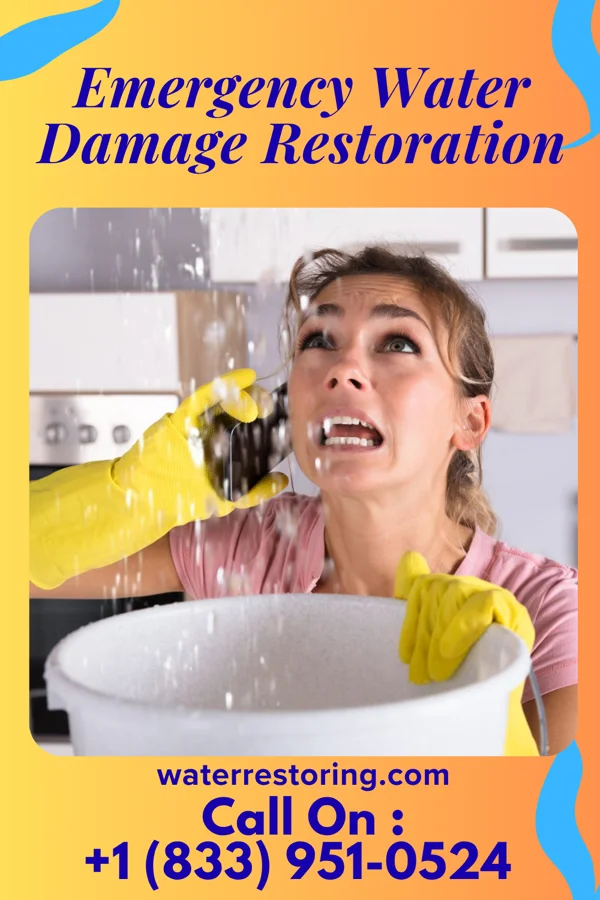 Emergency Water Damage Restoration in Village Green, NY