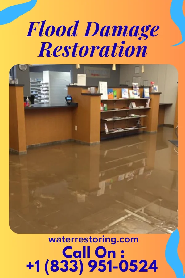 Flood Damage Restoration in Village Green, NY
