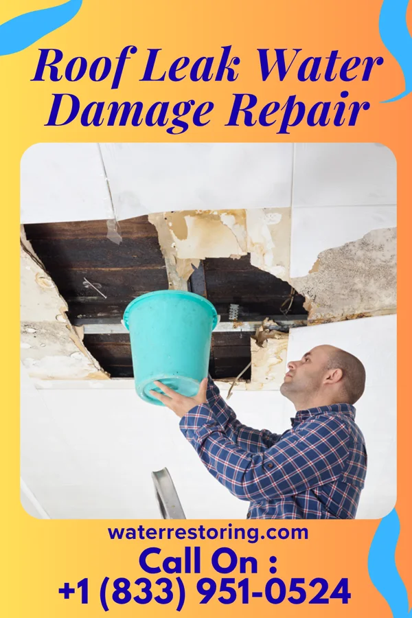 Roof Leak Water Damage Repair in Village Green, NY
